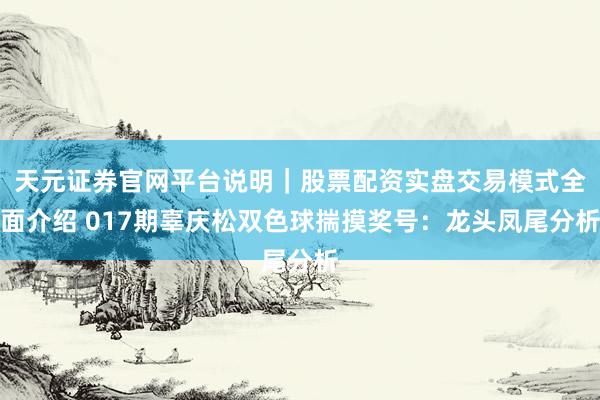 天元证券官网平台说明｜股票配资实盘交易模式全面介绍 017期辜庆松双色球揣摸奖号：龙头凤尾分析