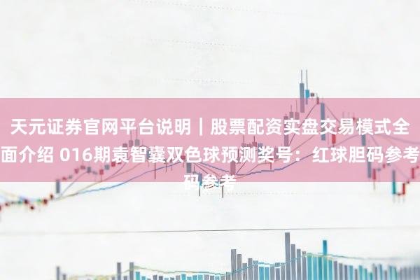 天元证券官网平台说明｜股票配资实盘交易模式全面介绍 016期袁智囊双色球预测奖号：红球胆码参考