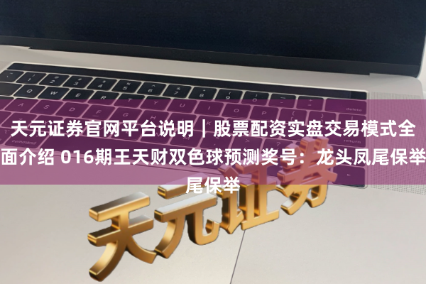 天元证券官网平台说明｜股票配资实盘交易模式全面介绍 016期王天财双色球预测奖号：龙头凤尾保举